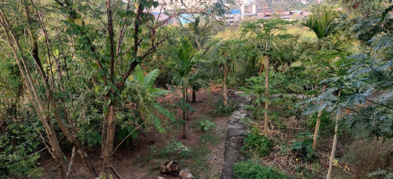 Gulmohar Cottages - Home Stay In Alībāg Eksteriør bilde